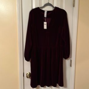 Anthropologie- Amado velvet dress